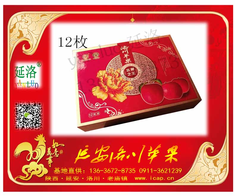 延安洛川红富士苹果